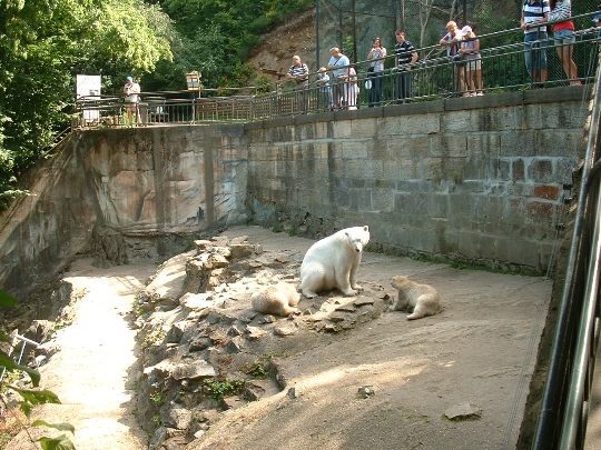 Zoo w Brnie