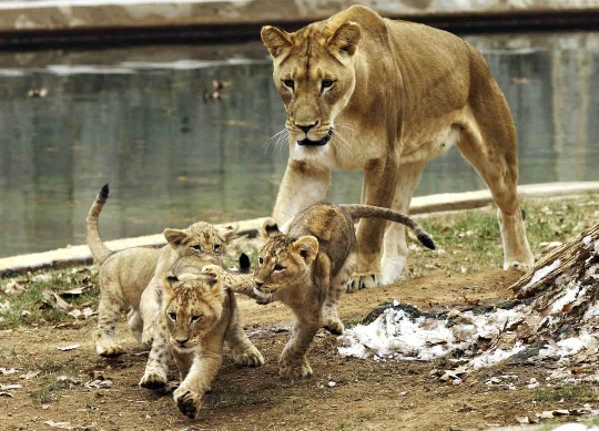 Zoo in Washington