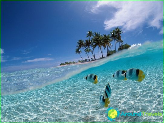 Vacances à Cuba en novembre