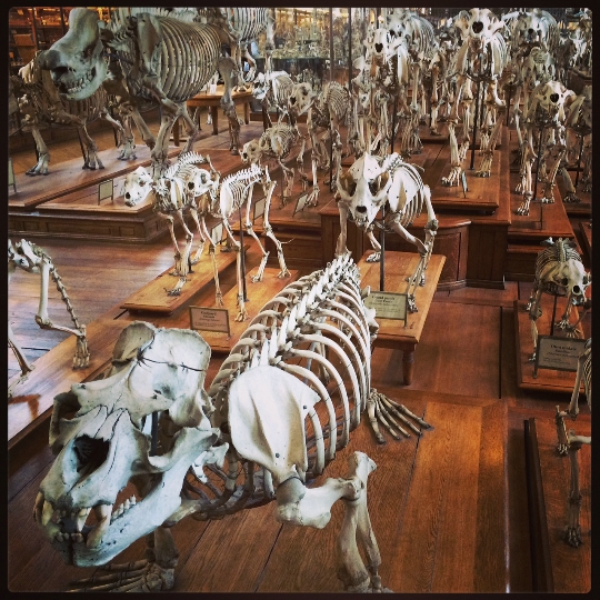 Natural History Museum in Parijs