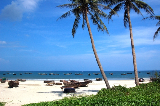 Saison à Da Nang