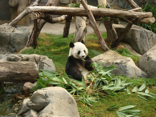 Hong Kong Zoo