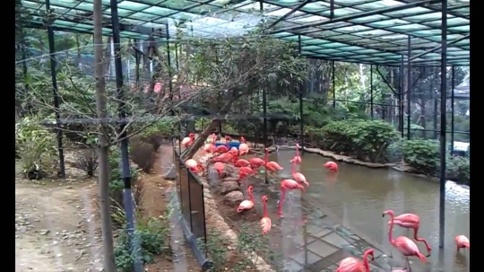 Хонконг зоопарк
