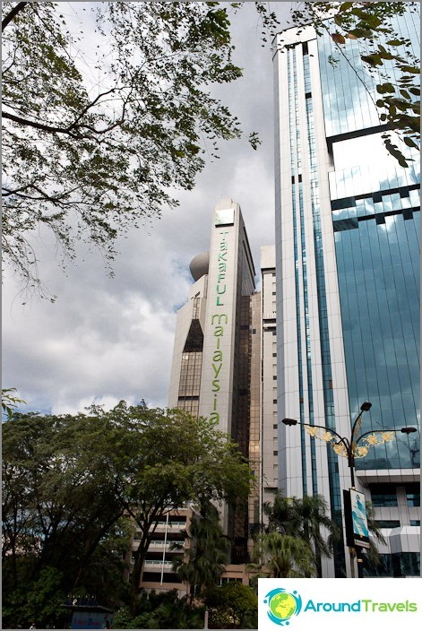 Skyscrapers through the thicket