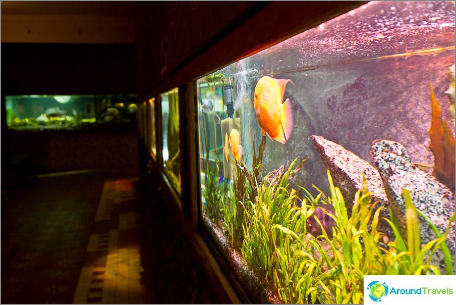 Pavilion with aquariums