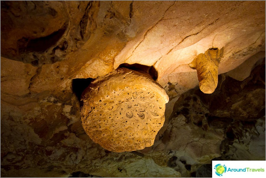 Stalaktit hornet's nest - den äldsta i grottan