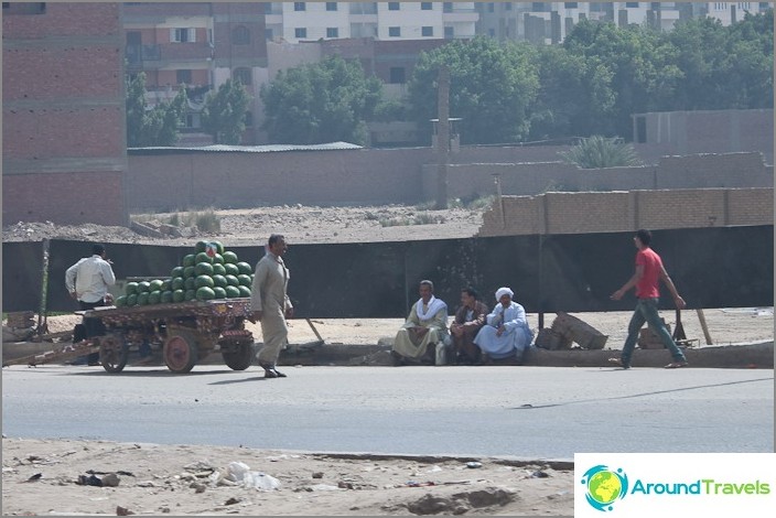 Egypten. Cairo. Sælgere af vandmeloner.