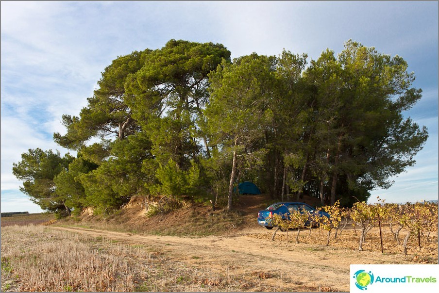 One of our overnight stays is an island of trees in an open field