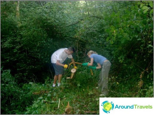 Volunteering - rebuilding a trail in a local forest.