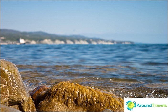 Wild beach near the city of Tuapse.