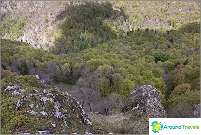 Looking down from the city of two brothers