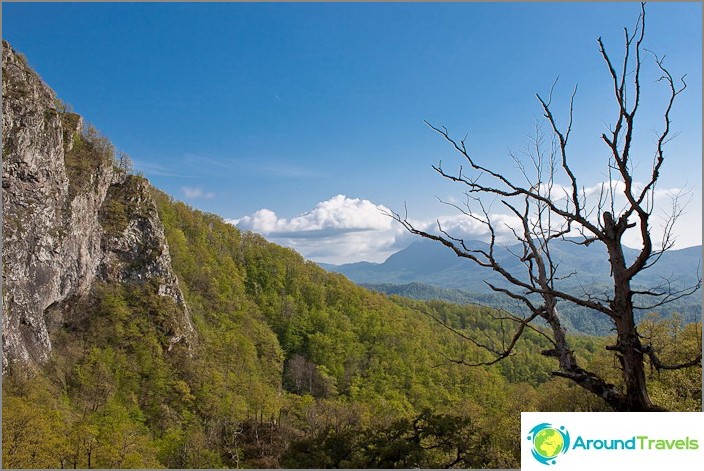 Mountains of the Caucasus.