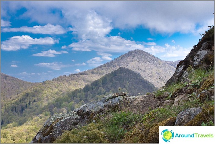 View from one of the peaks of Mount Two Brothers.