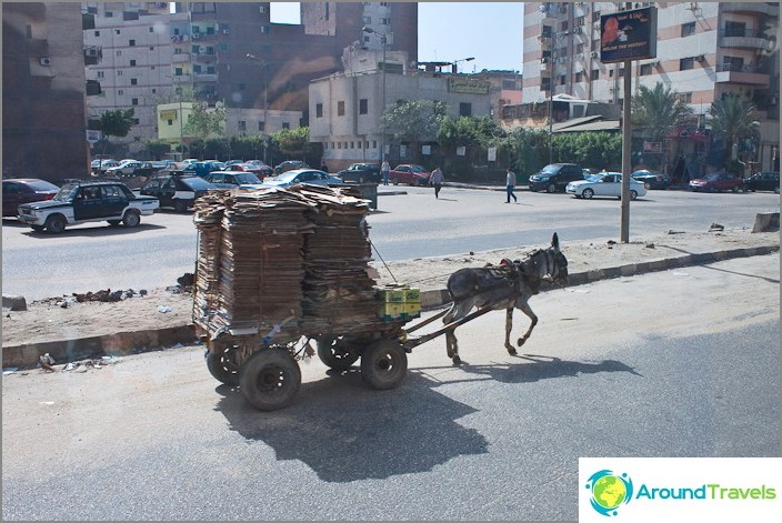 מִצְרַיִם. קהיר. אחד הרכבים.