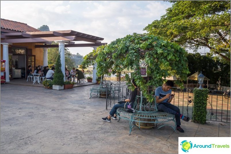 Silver Lake Vineyard in Pattaya - Nice Walk and Wine