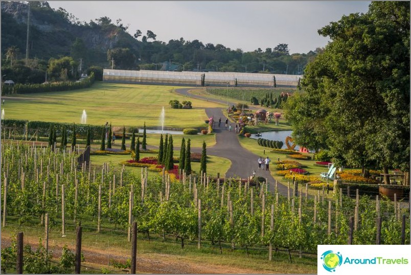 Silver Lake Vineyard in Pattaya