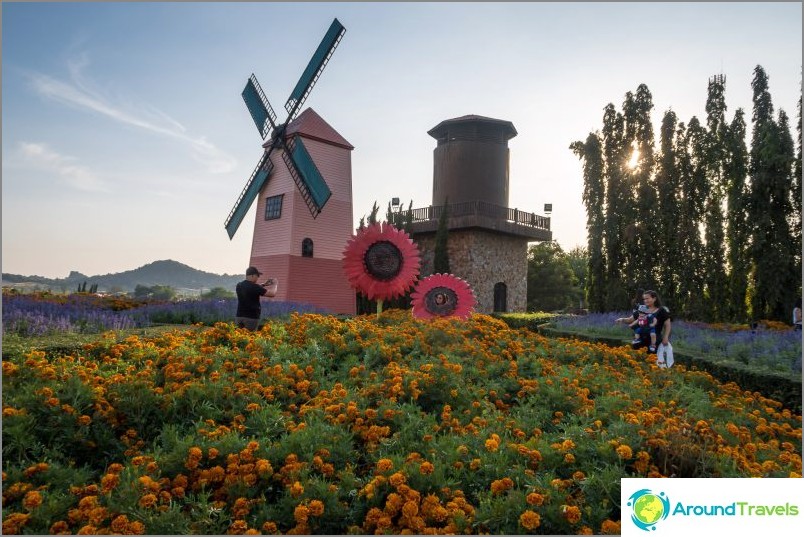 Silver Lake Vineyard en Pattaya - agradable paseo y vino