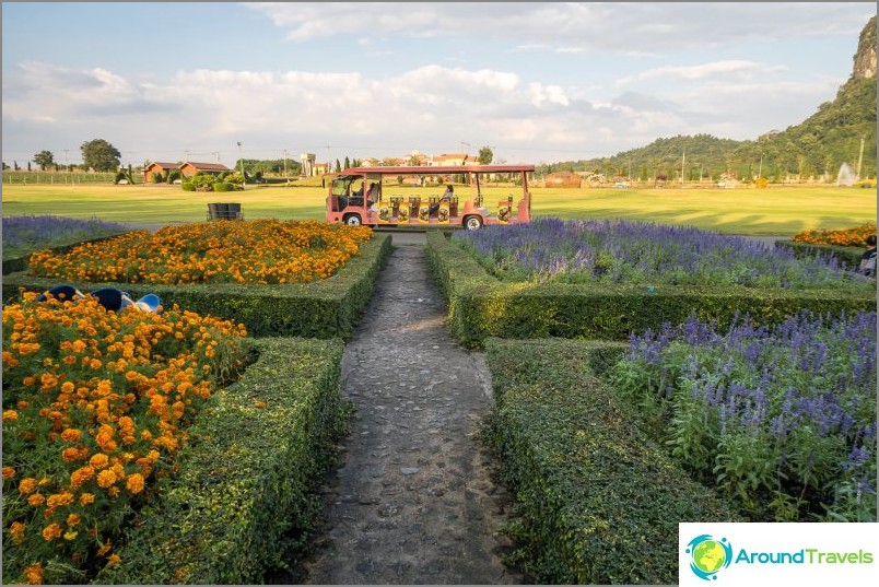 Silver Lake Vineyard en Pattaya - agradable paseo y vino