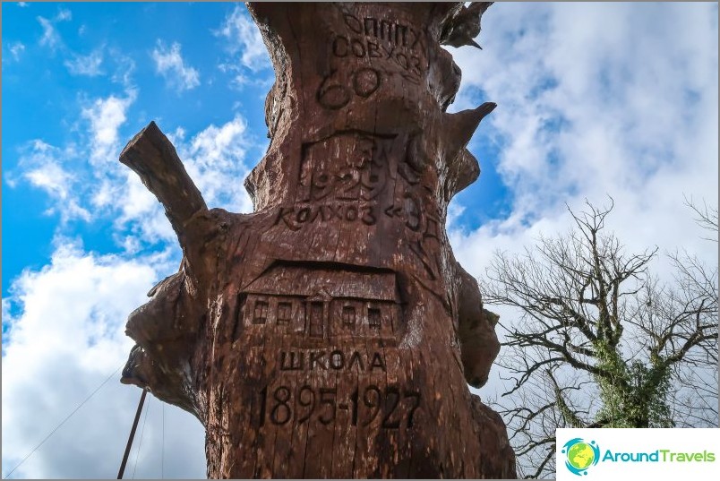 Roble en el pueblo de Estosadok - una reliquia de la comunidad estonia