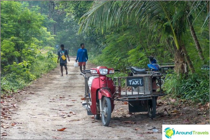 Tayland Phi Phi adalarına gezi - inceleme ve gitmek için en iyi yol nedir