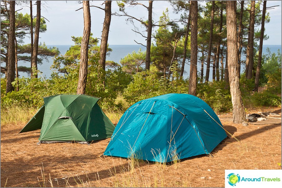 Tents in Pitsunda Pines