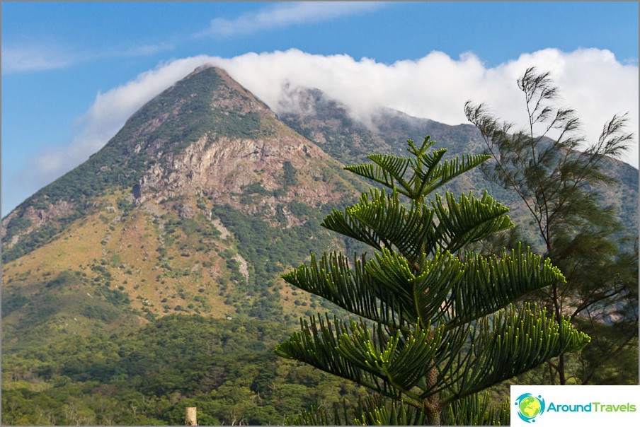 Around the mountains and such beautiful trees