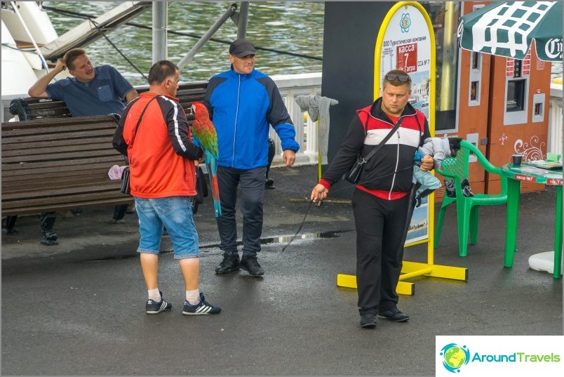 Sea Station i Sotsji - yachter, butikker og Semyon Semenych