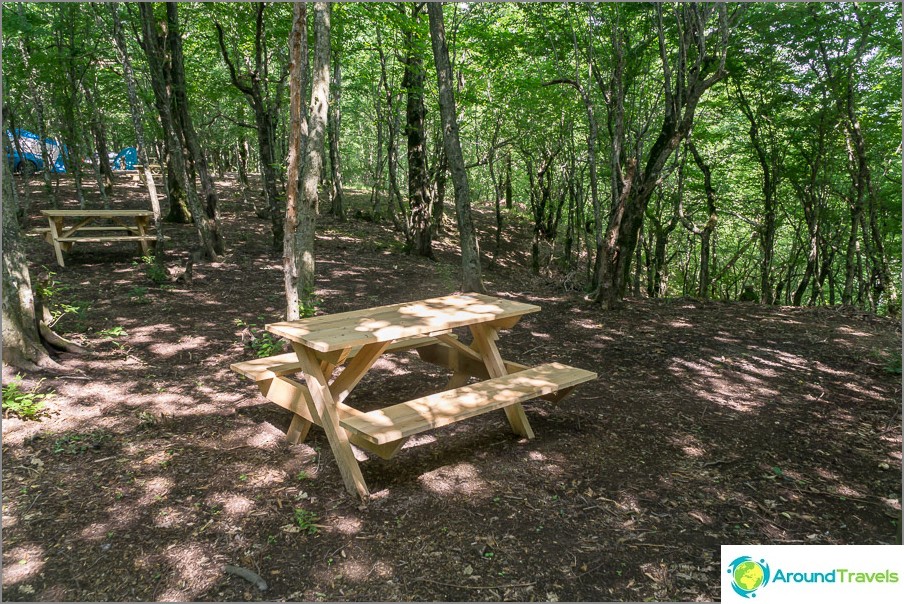 All the meadows have tables with benches and barbecues