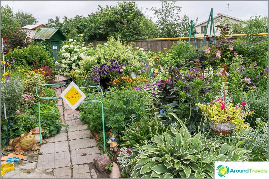 Cerca de la entrada hay un hermoso jardín.