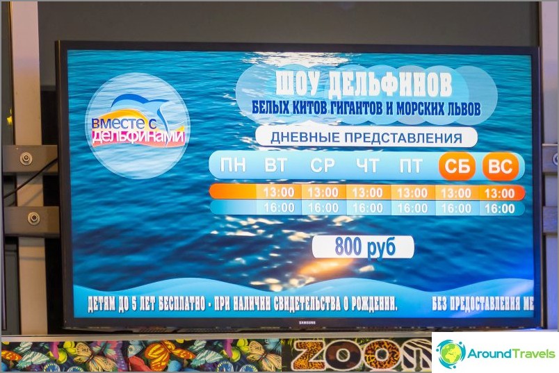 Dolphinarium Riviera em Sochi - férias em família com golfinhos