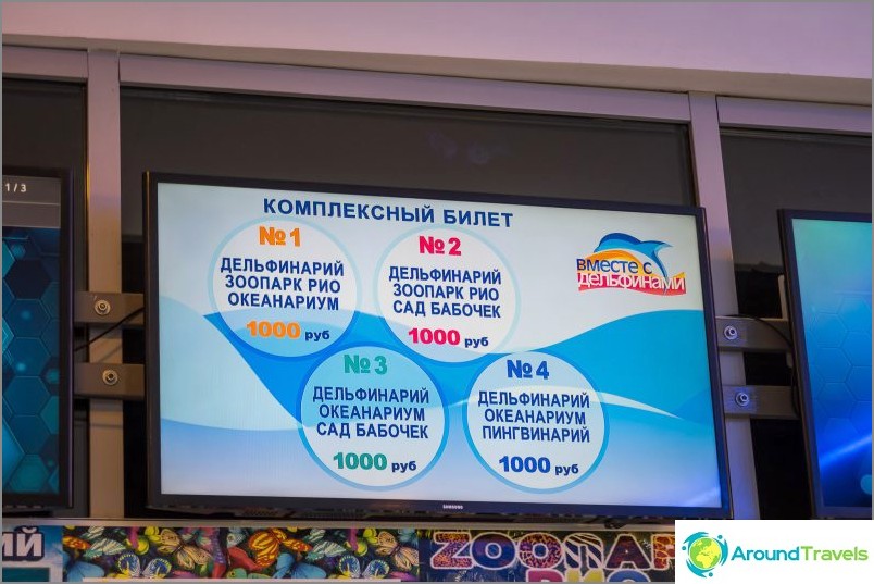 Dolphinarium Riviera v Soči - rodinná dovolená s delfíny