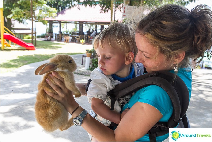 Egor bardziej boi się królika niż on (Paradise Park)