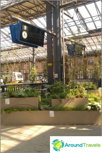 Gardens bloom on the platform in Helsinki