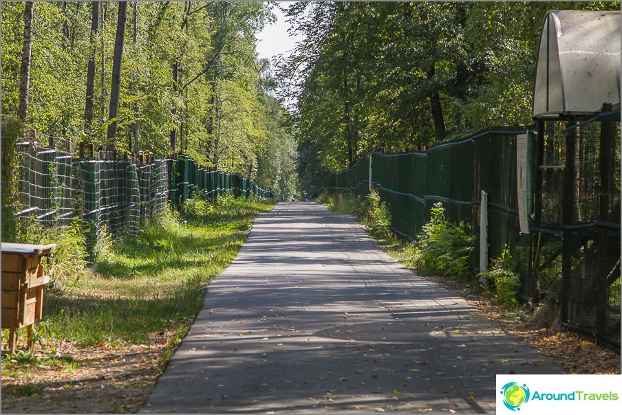 The path along the paddocks inside the nursery