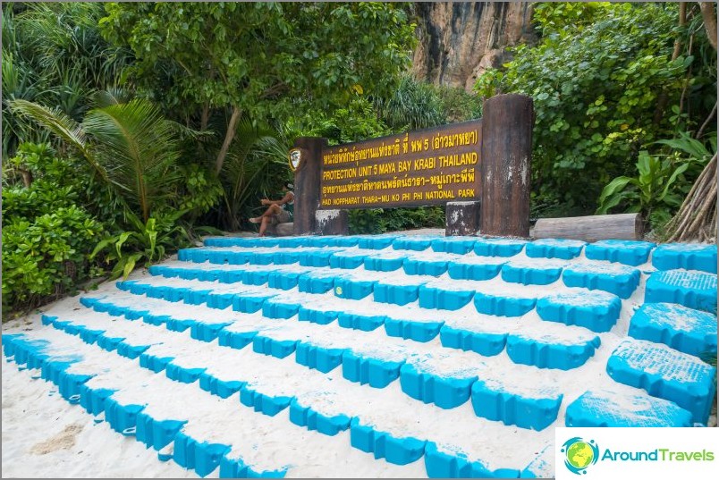 Maya Bay على Phi Phi - الحقيقة الكاملة عن الشاطئ من فيلم مع DiCaprio