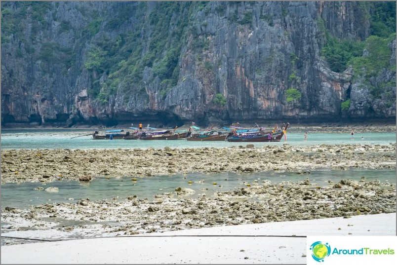 Maya Bay على Phi Phi - الحقيقة الكاملة عن الشاطئ من فيلم مع DiCaprio