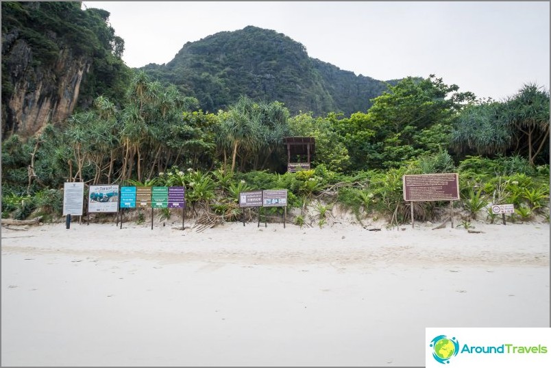 Maya Bay on Phi Phi - the whole truth about the beach from the movie with DiCaprio