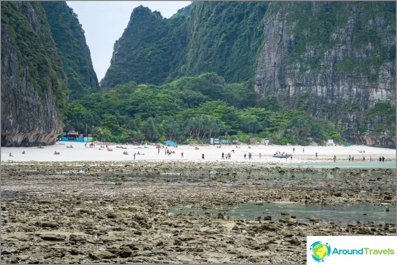 Udsigt over Maya Bay fra denne strand