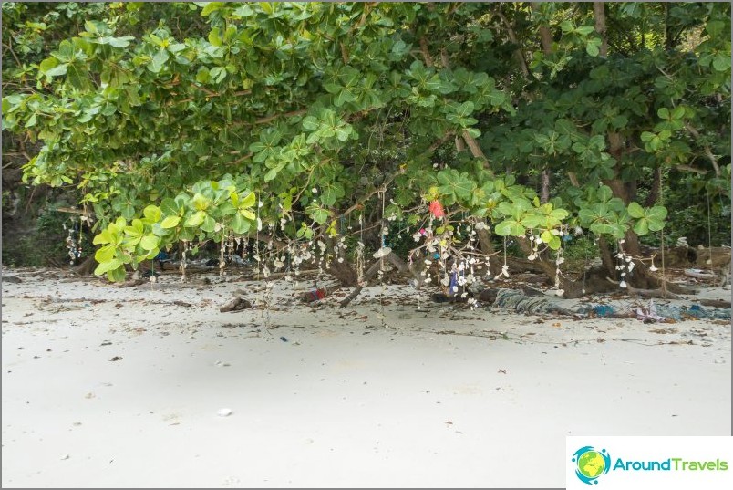 Maya Bay på Phi Phi - hela sanningen om stranden från en film med DiCaprio