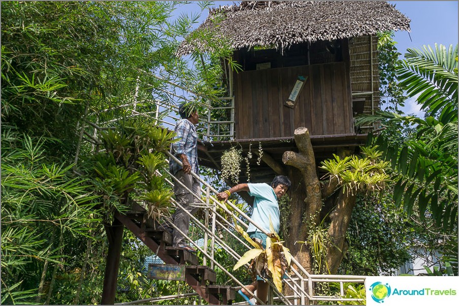 Toilet 10 meters above the ground