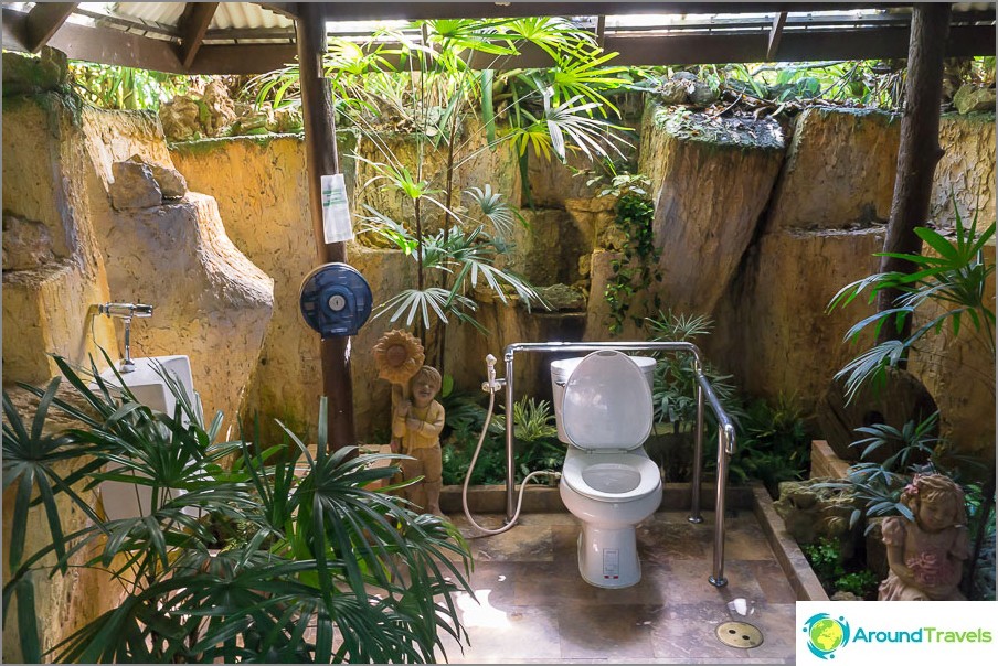 Just a beautiful toilet, I will make the same in my villa on the beach when I buy it