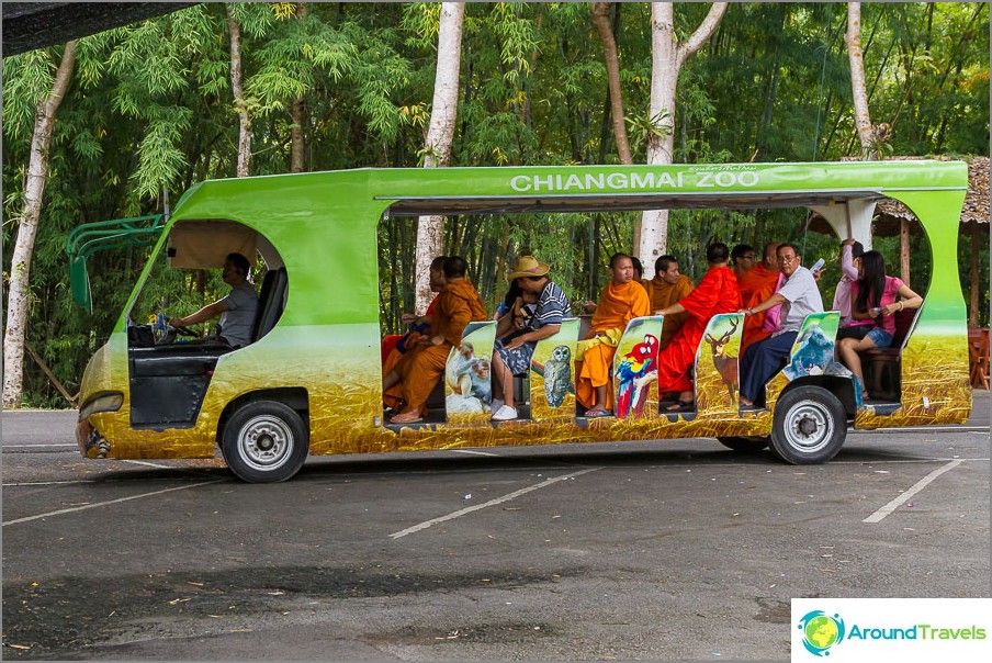 Bussen rijden door de dierentuin