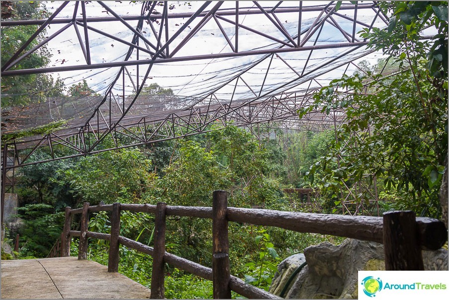 The aviary is a large cage