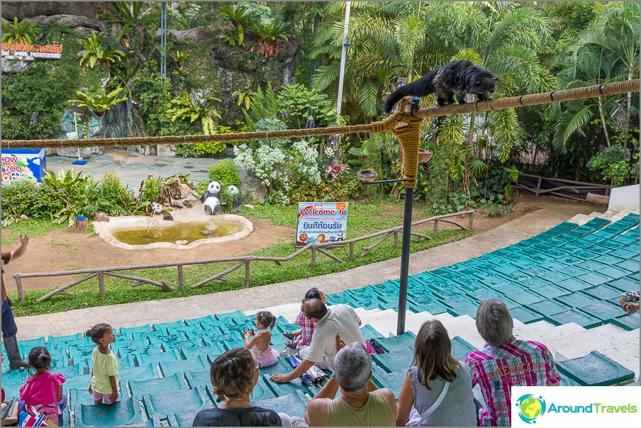 Performances for children are held next to the aviary