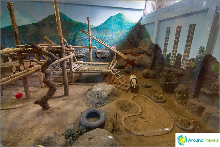 The first pavilion with pandas, here they are behind the glass