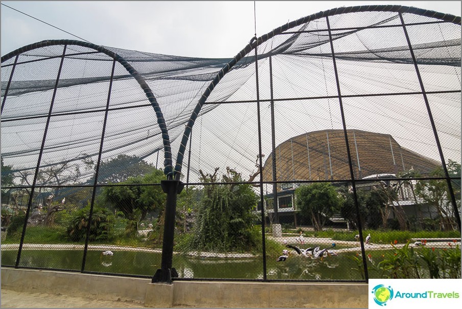 The pavilion has a net for birds, but you can't go there