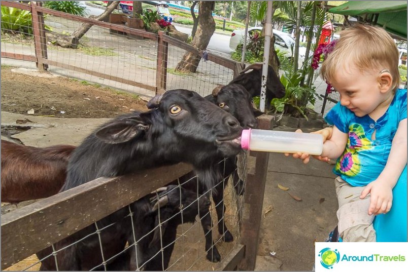 Embora pareça que nada é tão assustador