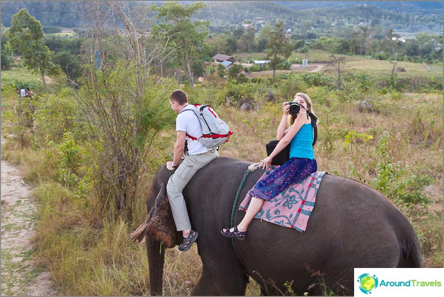 Elephant ride