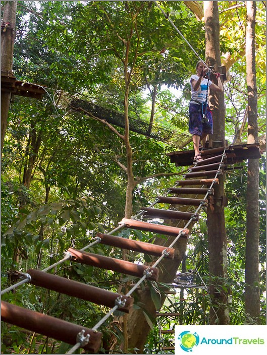 Wir gehen die Seilwege des Tree Park entlang