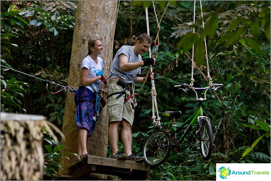 Wir gehen die Seilwege des Tree Park entlang